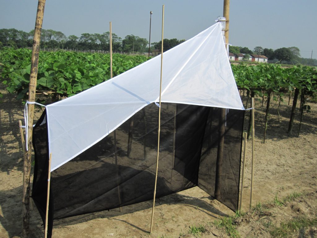 Malaise trap