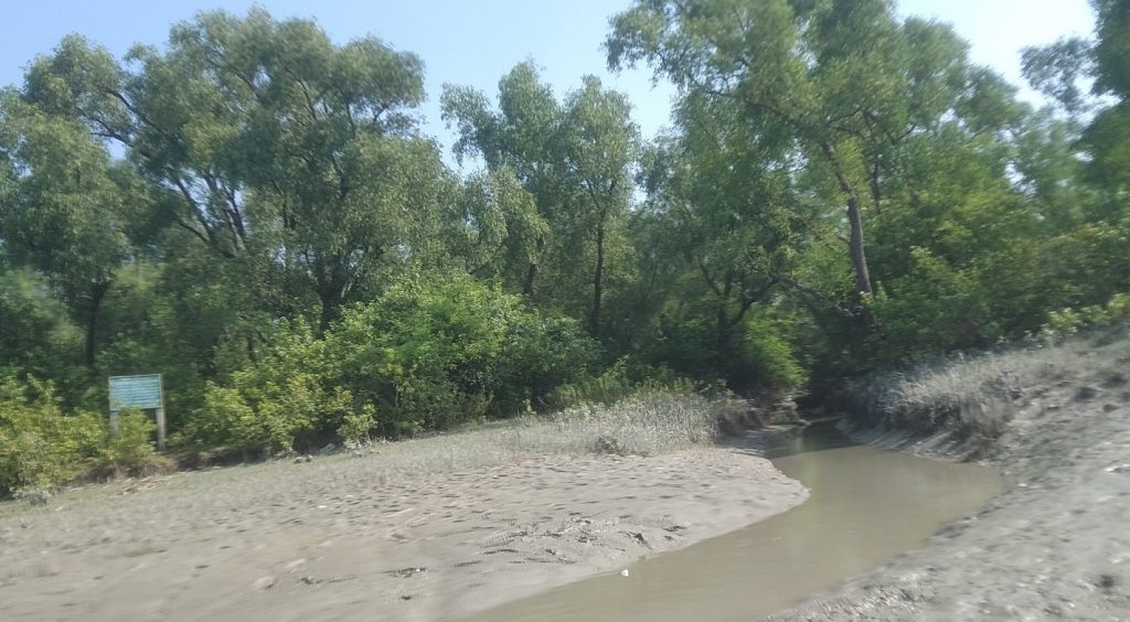 A small canal is running through the Nijhum Dwip