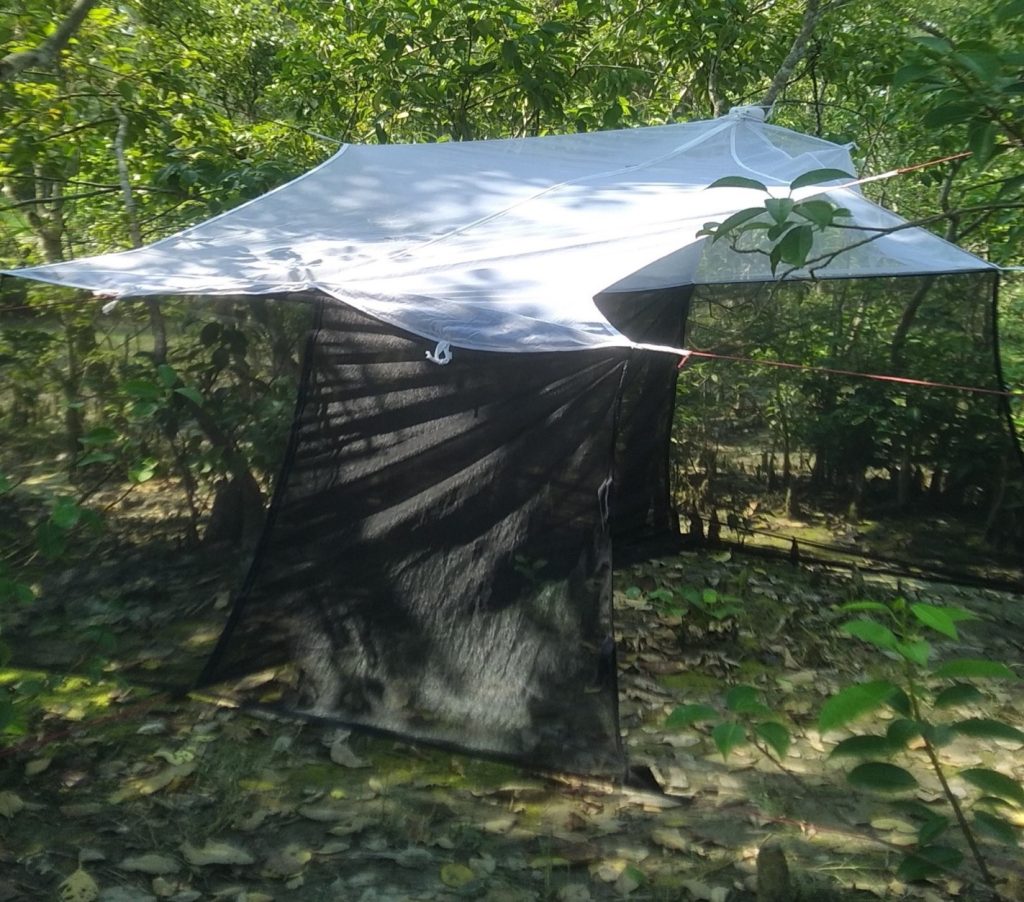 Arthropod sample collections through Malaise trap in the Nijhum Dwip mangrove forest