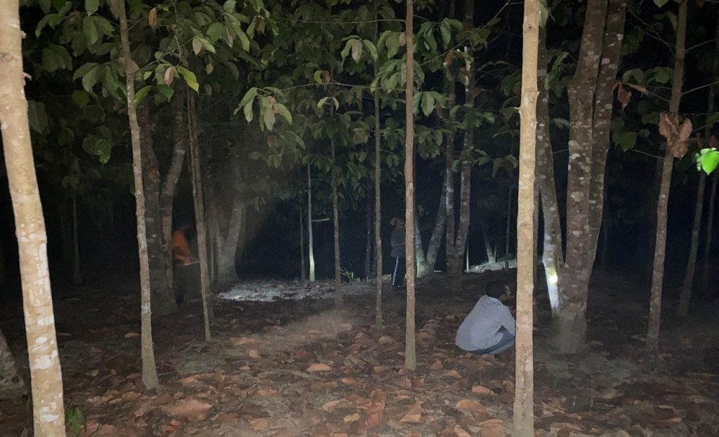 Night observation in Agarwood garden