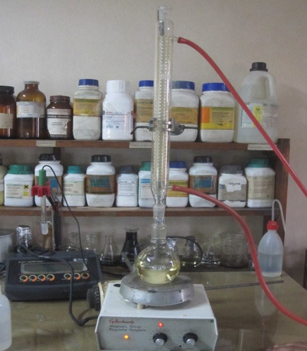 nano-particle preparation